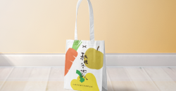 精品購(gòu)物袋怎么設(shè)計(jì)才能夠獲得好評(píng)